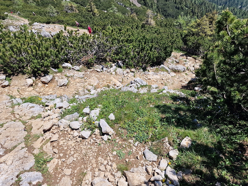 Slika je vidna v Google Chromu.