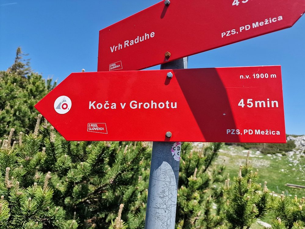 Slika je vidna v Google Chromu.