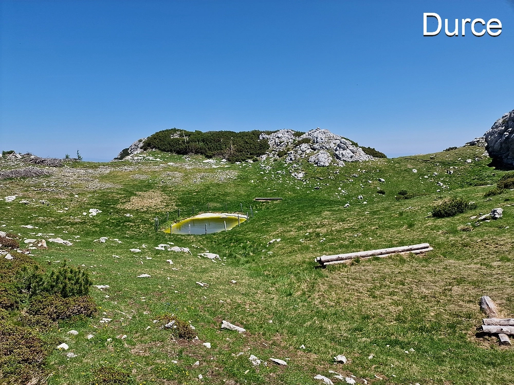 Slika je vidna v Google Chromu.