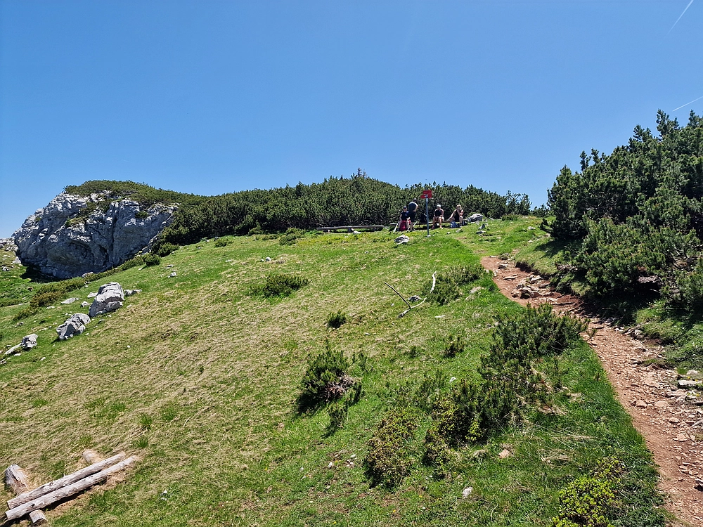 Slika je vidna v Google Chromu.