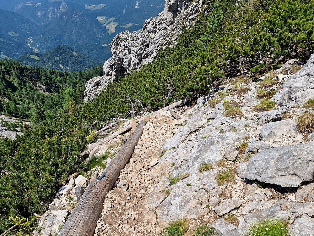 Slika je vidna v Google Chromu.