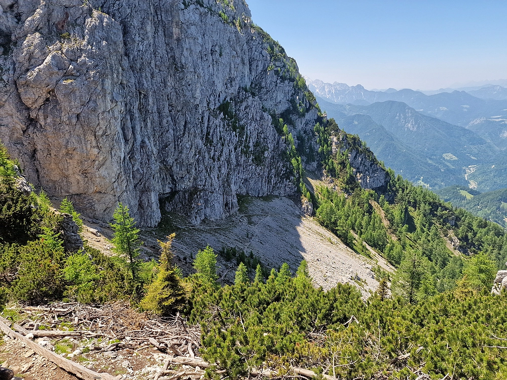 Slika je vidna v Google Chromu.