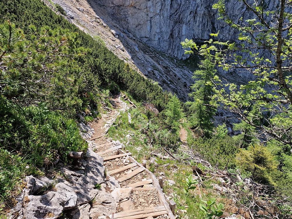 Slika je vidna v Google Chromu.