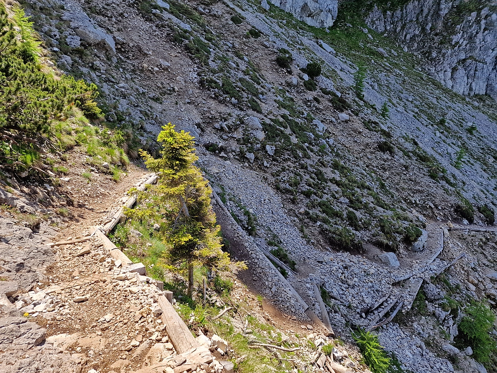 Slika je vidna v Google Chromu.