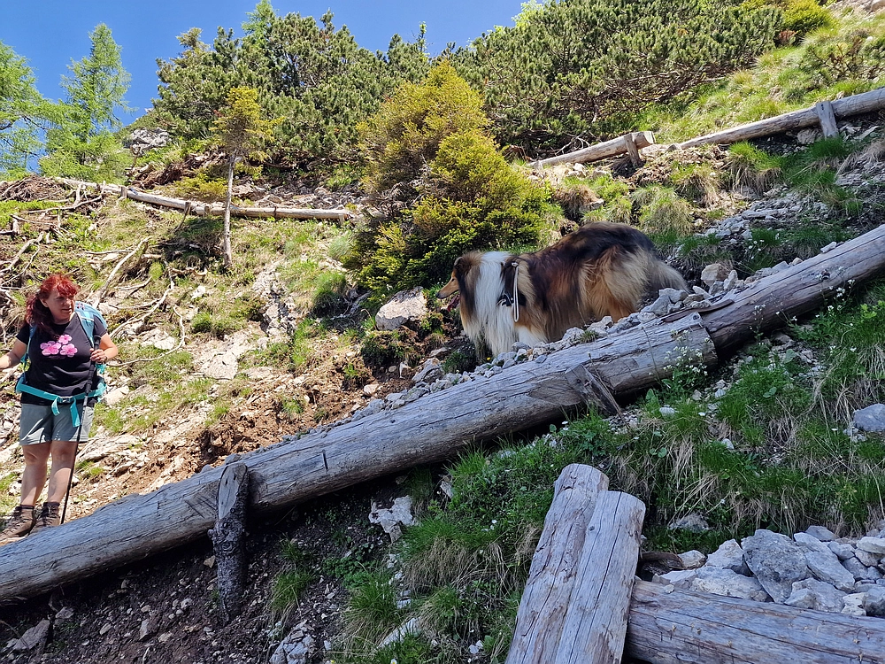 Slika je vidna v Google Chromu.