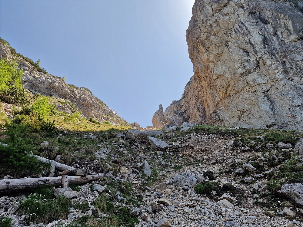 Slika je vidna v Google Chromu.