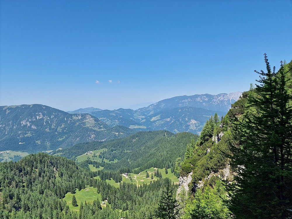 Slika je vidna v Google Chromu.