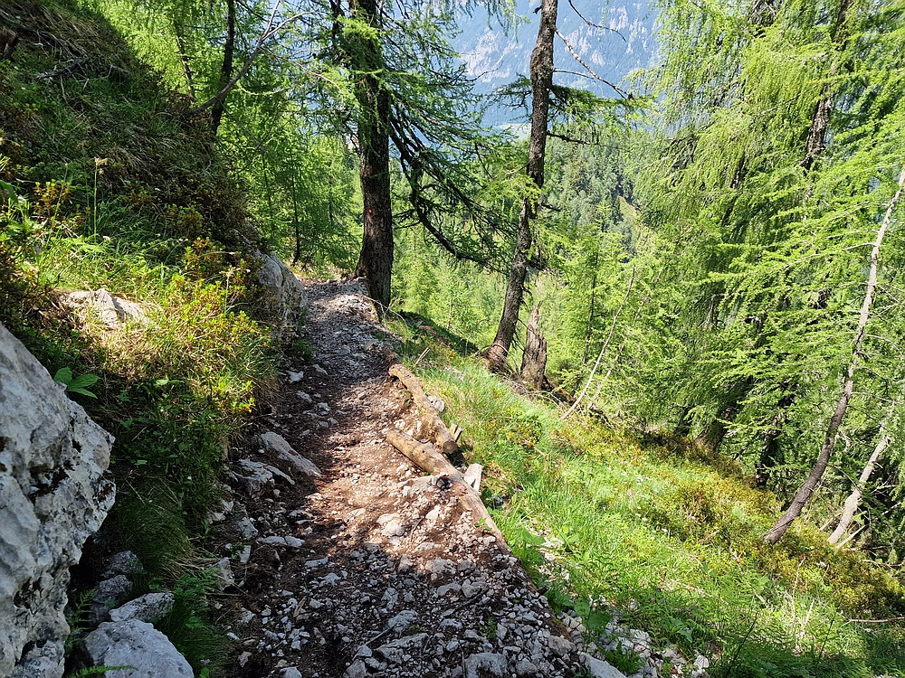 Slika je vidna v Google Chromu.