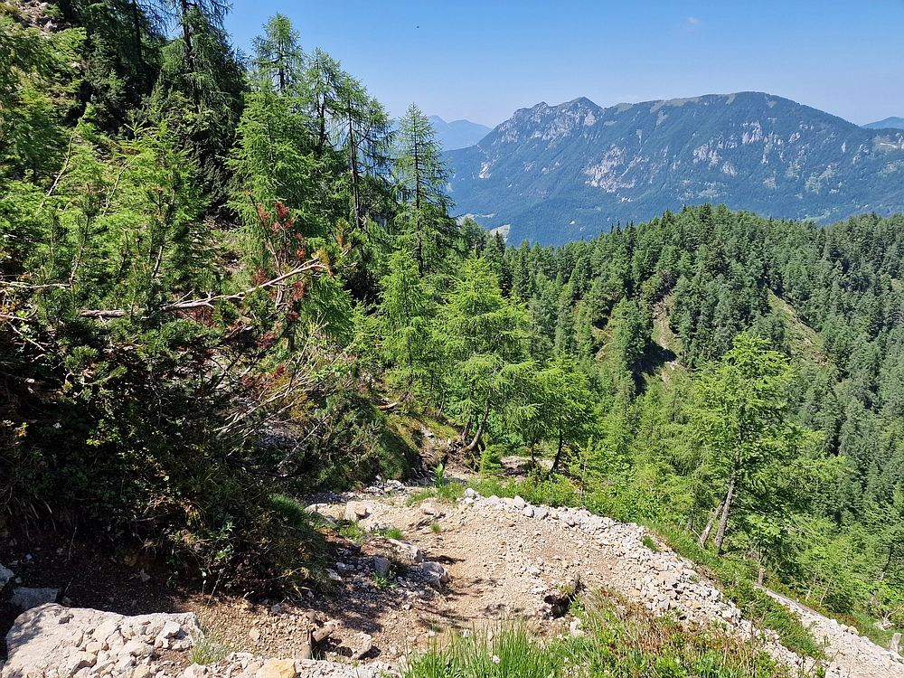 Slika je vidna v Google Chromu.