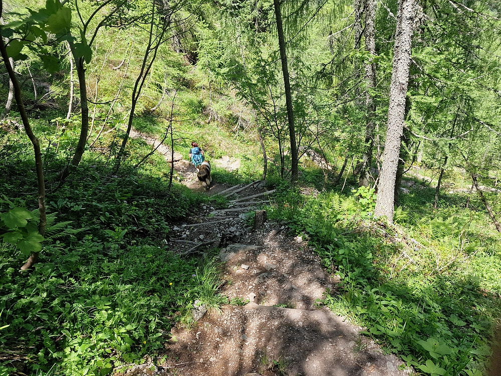 Slika je vidna v Google Chromu.