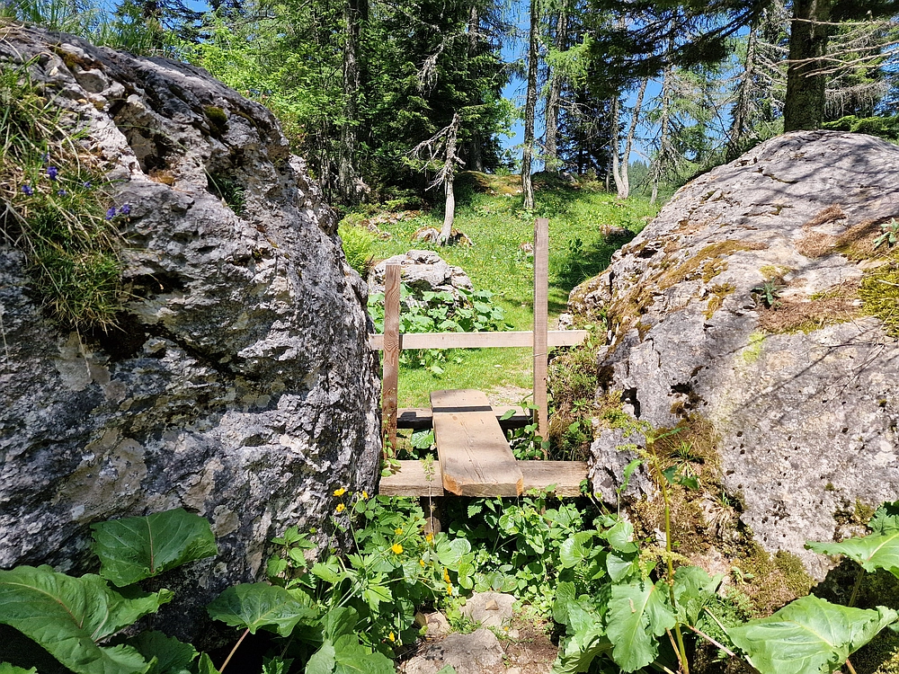 Slika je vidna v Google Chromu.