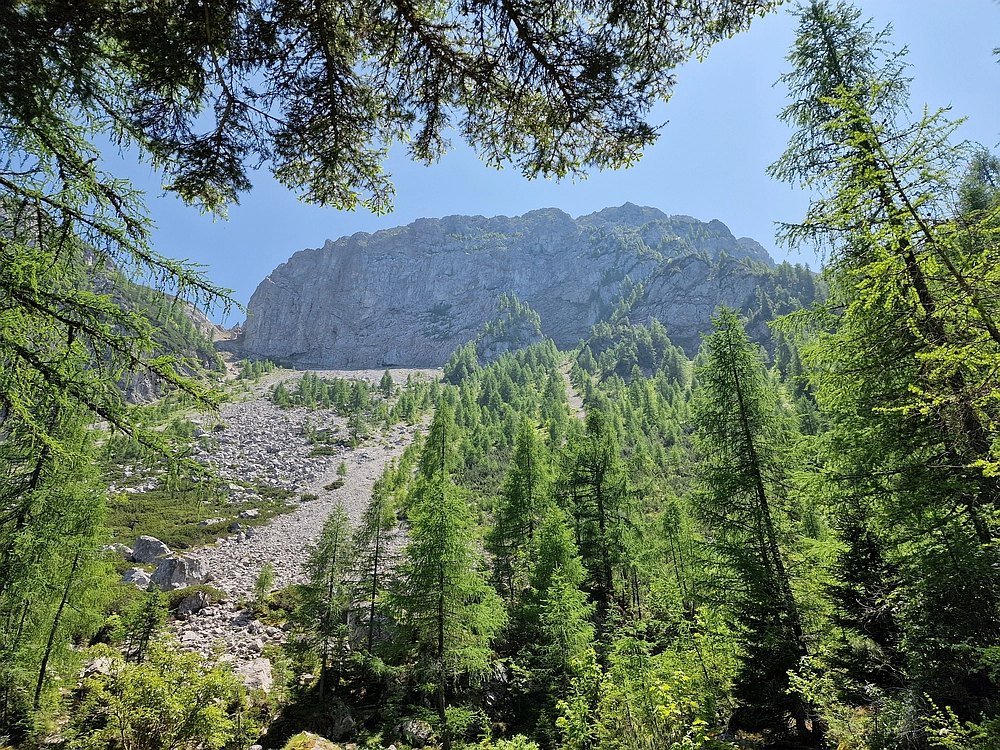Slika je vidna v Google Chromu.