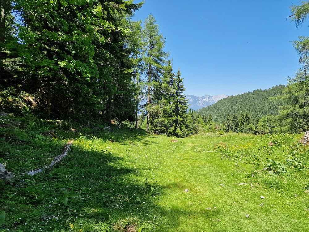 Slika je vidna v Google Chromu.