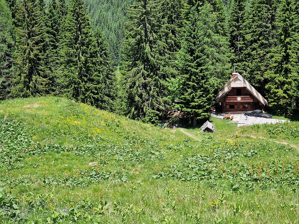 Slika je vidna v Google Chromu.