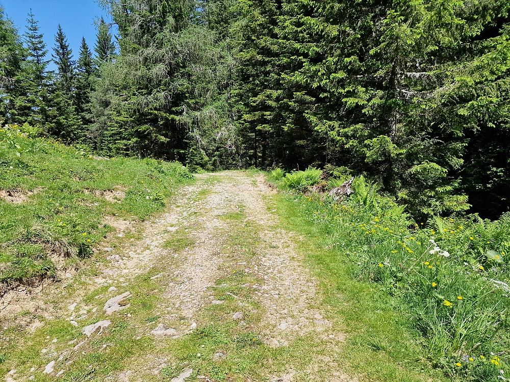 Slika je vidna v Google Chromu.