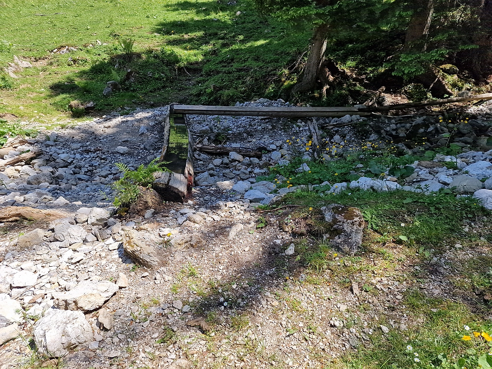 Slika je vidna v Google Chromu.