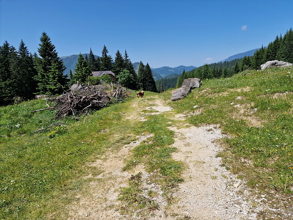 Slika je vidna v Google Chromu.