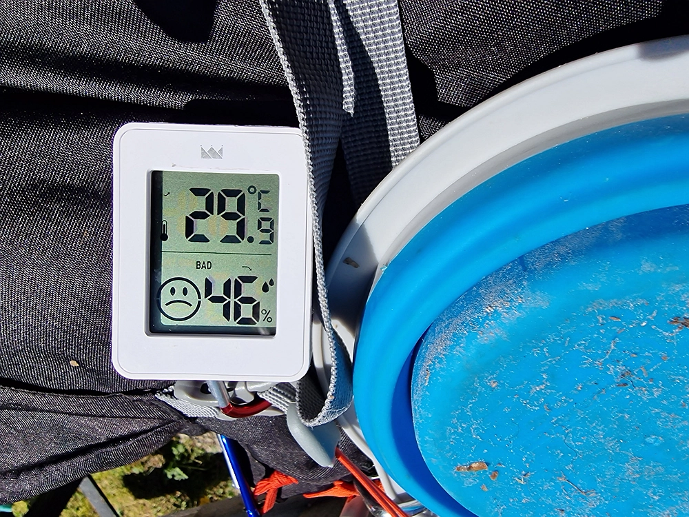 Slika je vidna v Google Chromu.