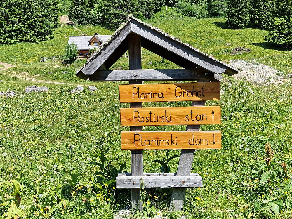 Slika je vidna v Google Chromu.