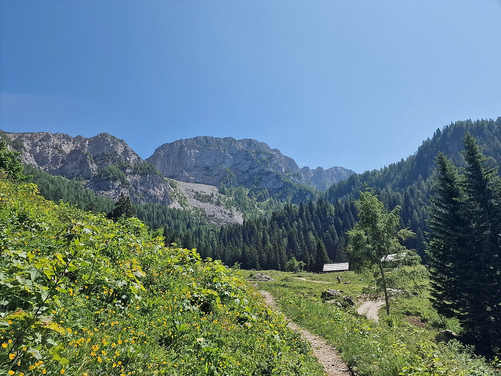 Slika je vidna v Google Chromu.