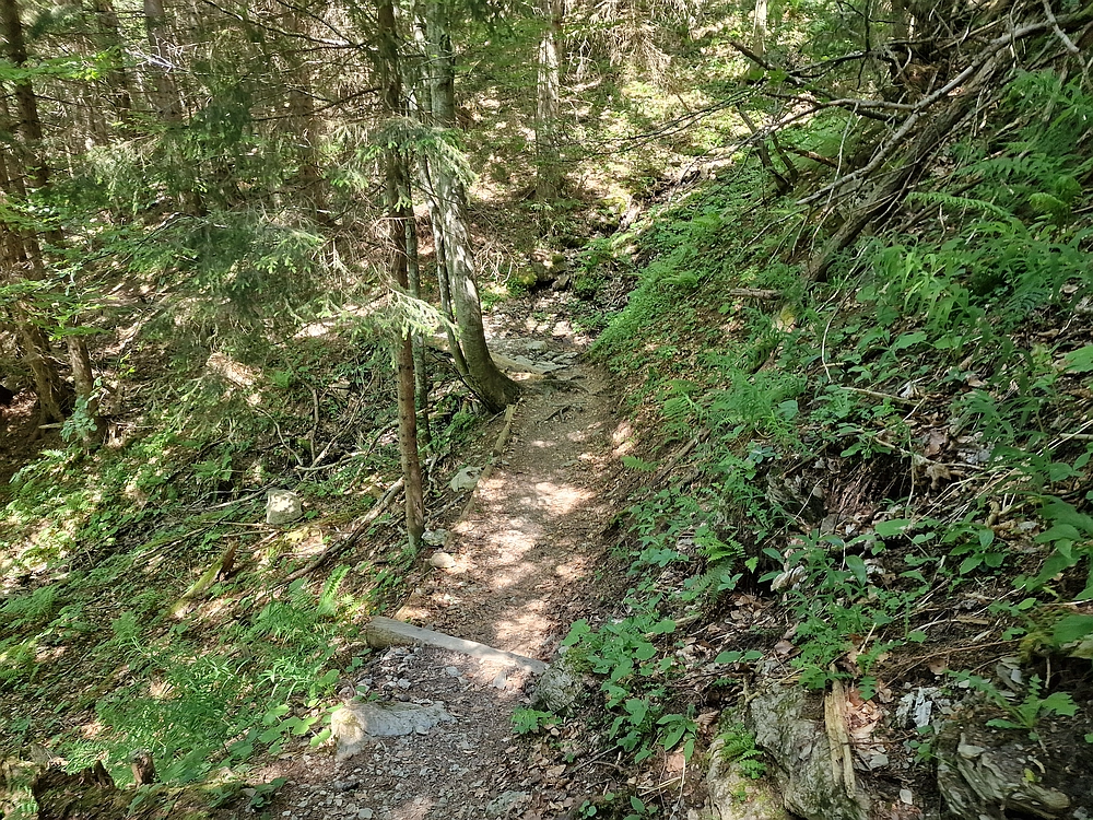 Slika je vidna v Google Chromu.