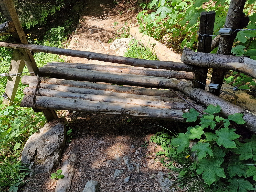 Slika je vidna v Google Chromu.