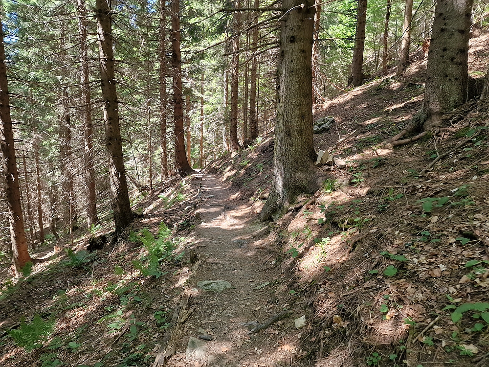 Slika je vidna v Google Chromu.