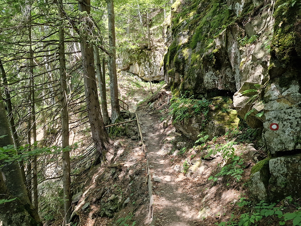 Slika je vidna v Google Chromu.