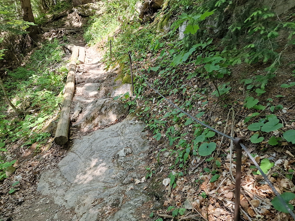 Slika je vidna v Google Chromu.