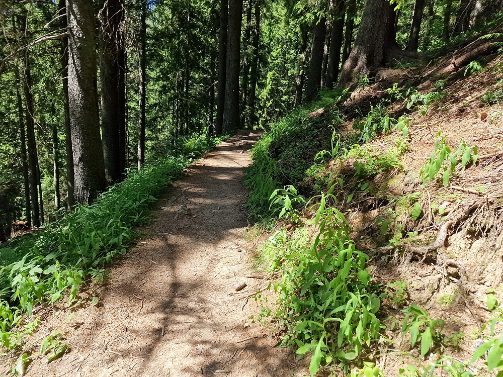 Slika je vidna v Google Chromu.