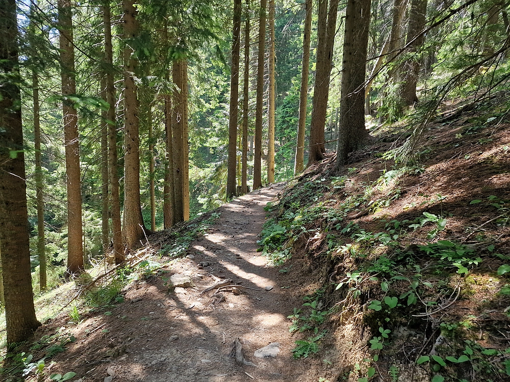 Slika je vidna v Google Chromu.