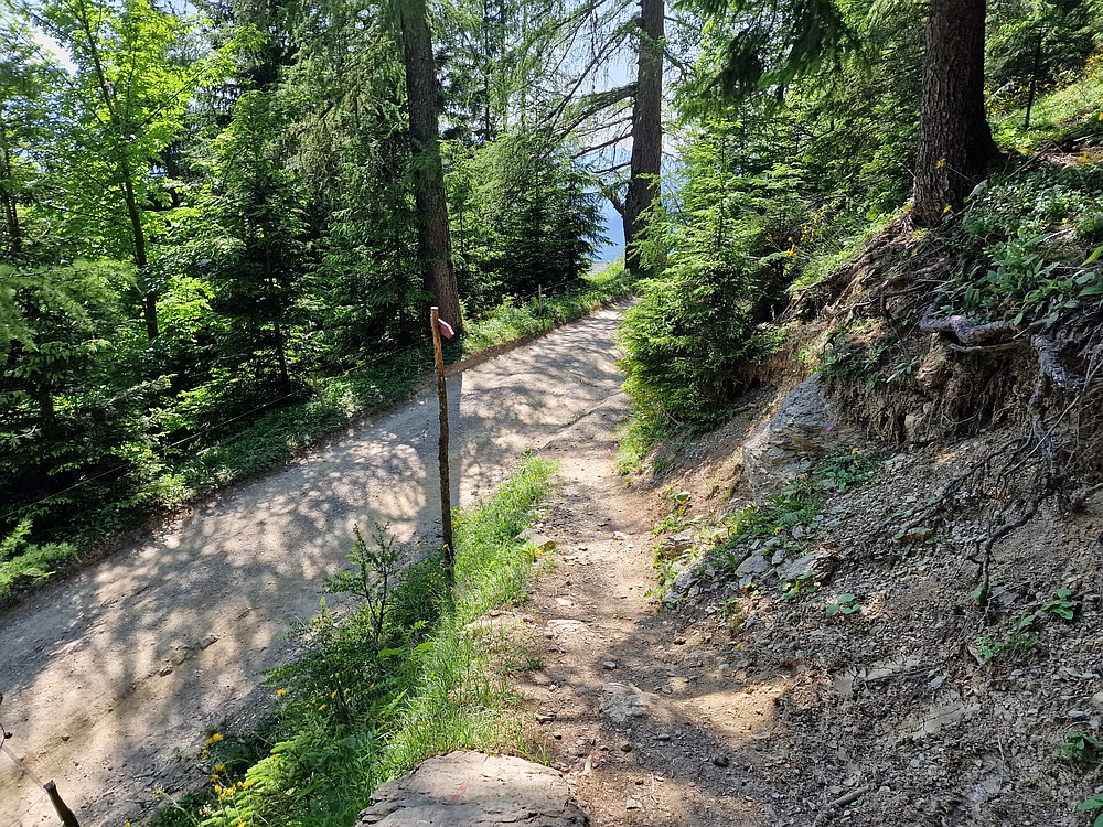 Slika je vidna v Google Chromu.