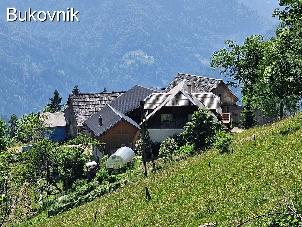 Slika je vidna v Google Chromu.