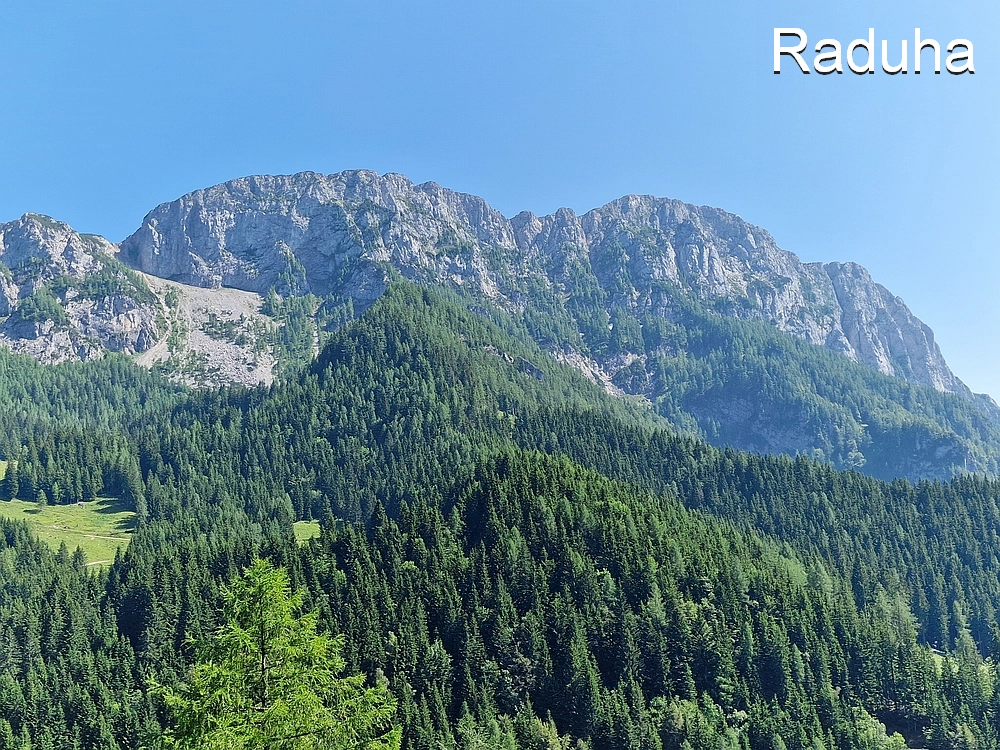 Slika je vidna v Google Chromu.