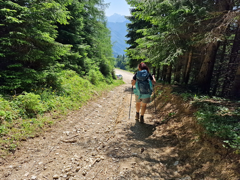 Slika je vidna v Google Chromu.