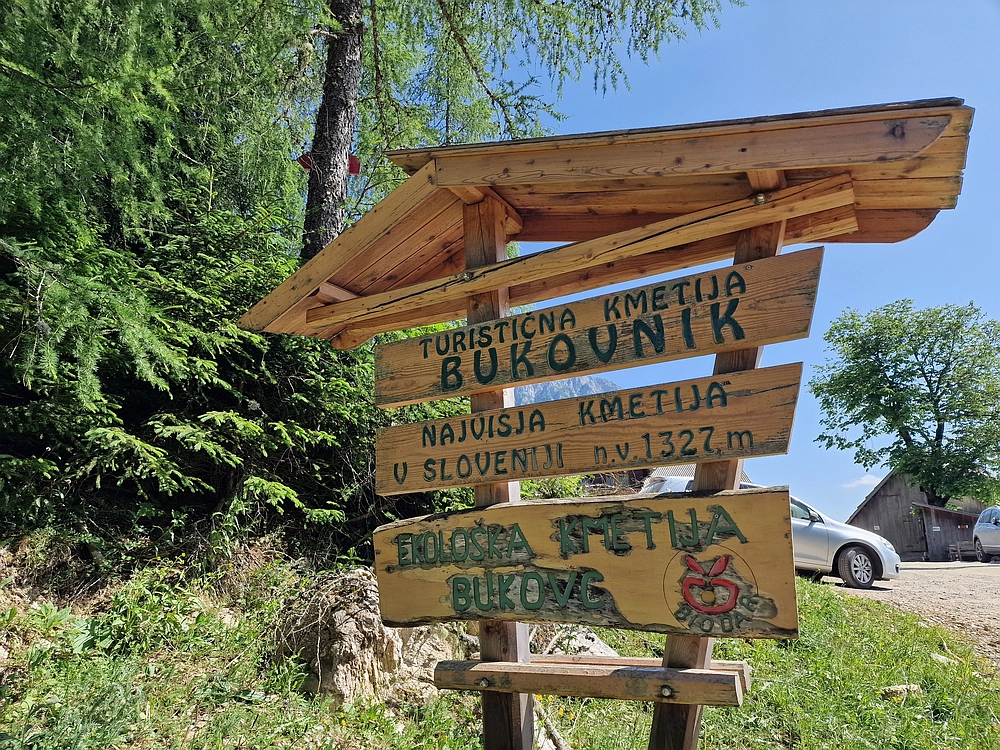 Slika je vidna v Google Chromu.