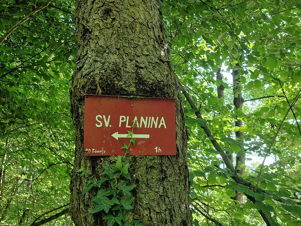 Slika je vidna v Google Chromu.