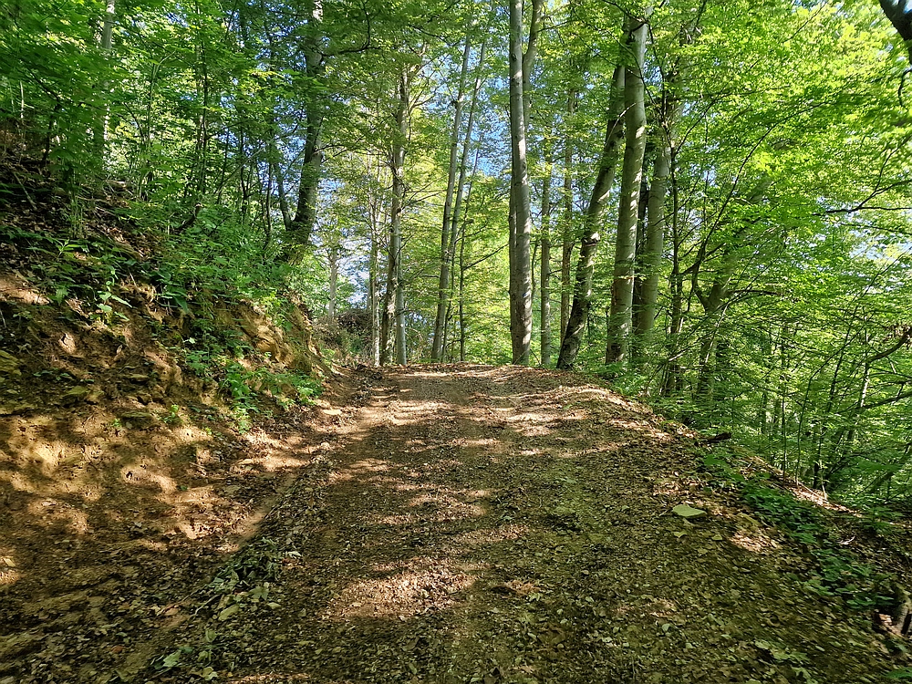 Slika je vidna v Google Chromu.