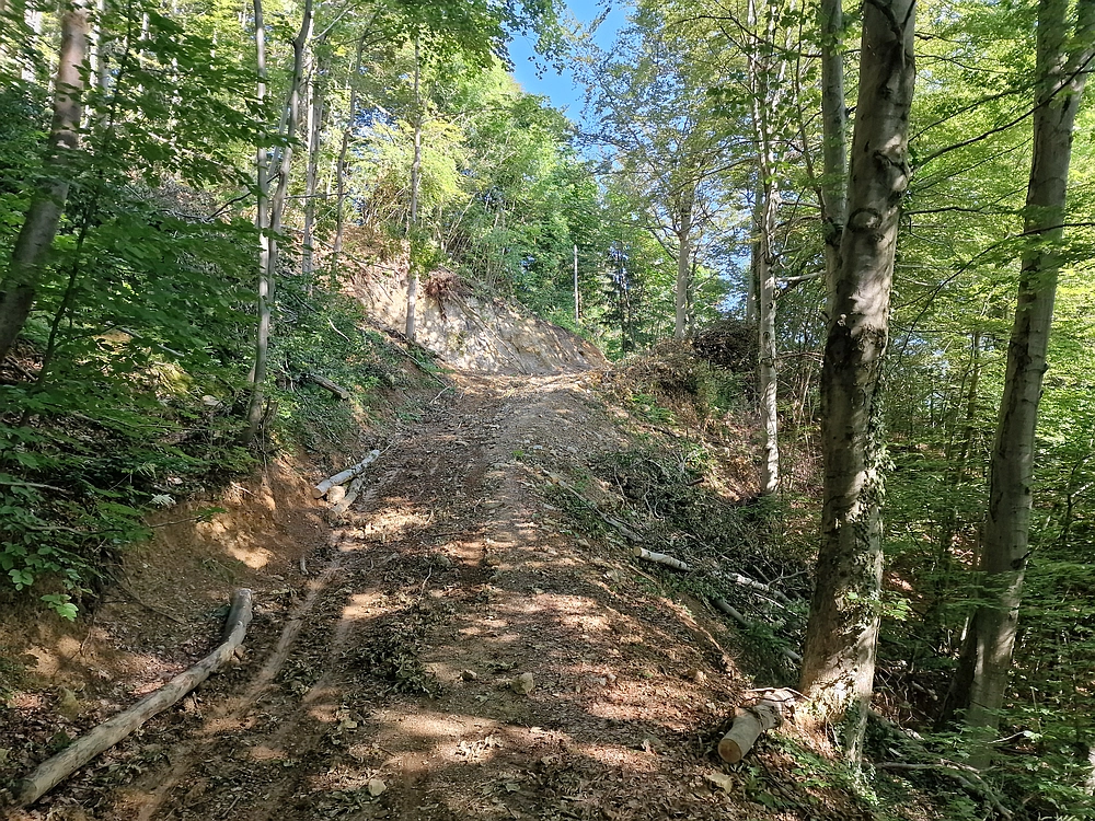 Slika je vidna v Google Chromu.