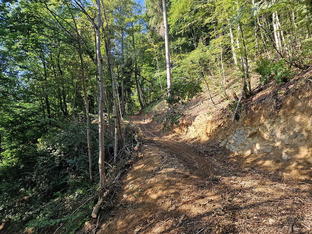 Slika je vidna v Google Chromu.