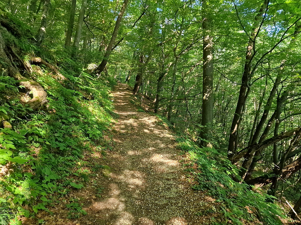Slika je vidna v Google Chromu.