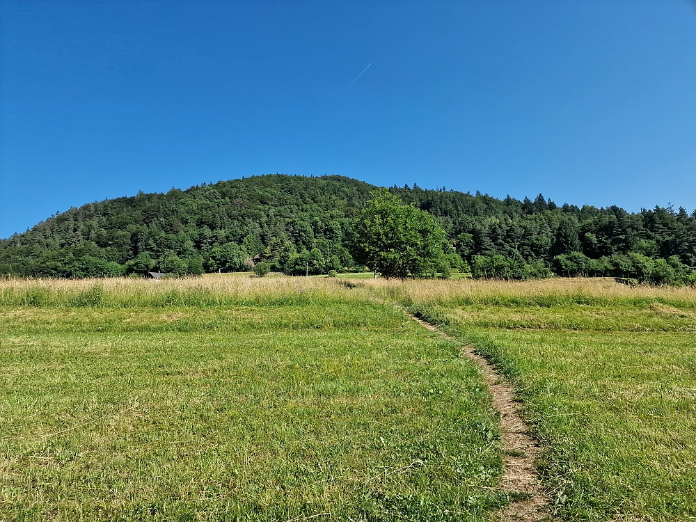 Slika je vidna v Google Chromu.