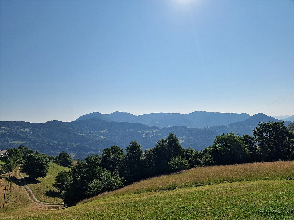 Slika je vidna v Google Chromu.