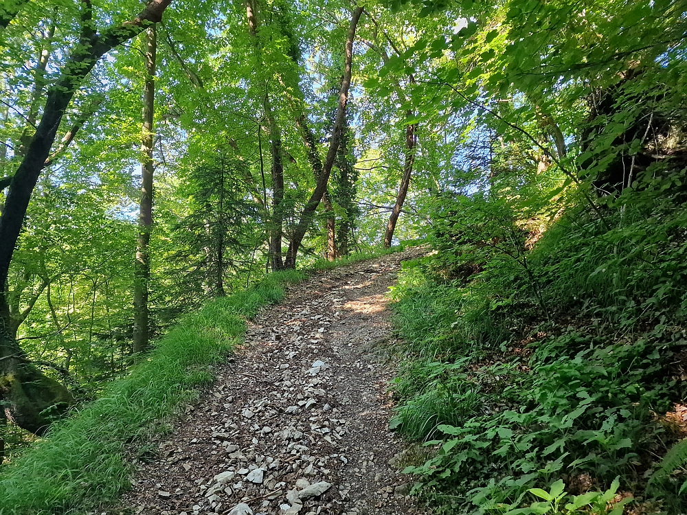 Slika je vidna v Google Chromu.