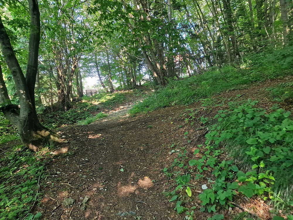 Slika je vidna v Google Chromu.