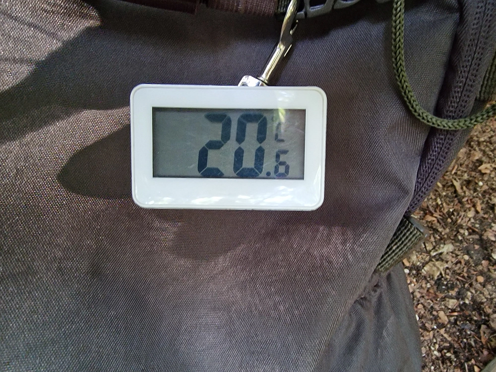 Slika je vidna v Google Chromu.