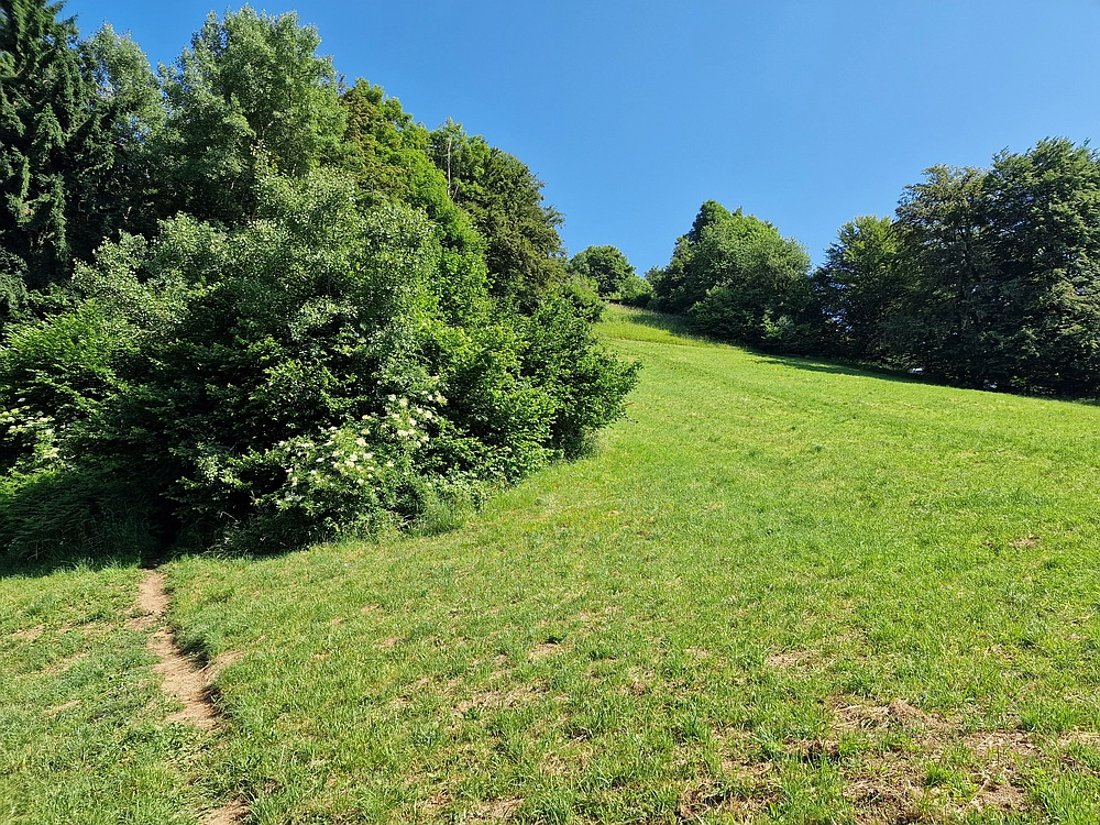 Slika je vidna v Google Chromu.