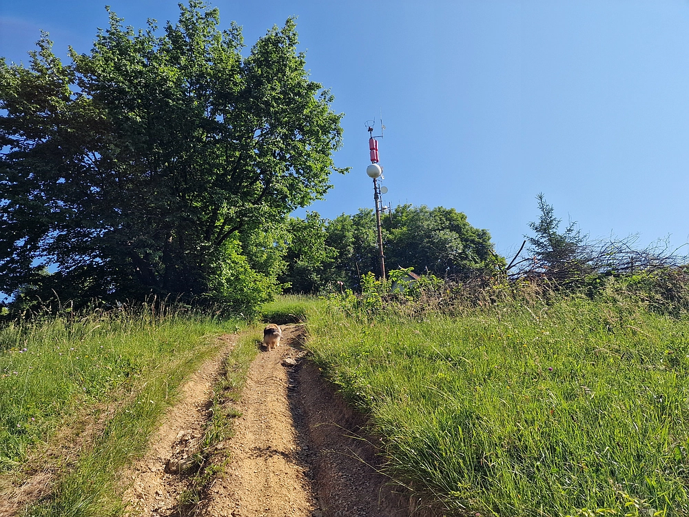 Slika je vidna v Google Chromu.