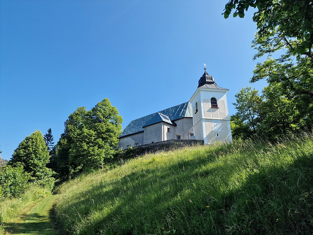 Slika je vidna v Google Chromu.