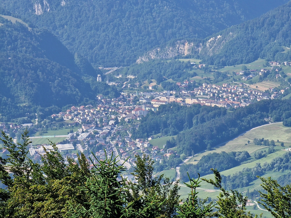 Slika je vidna v Google Chromu.